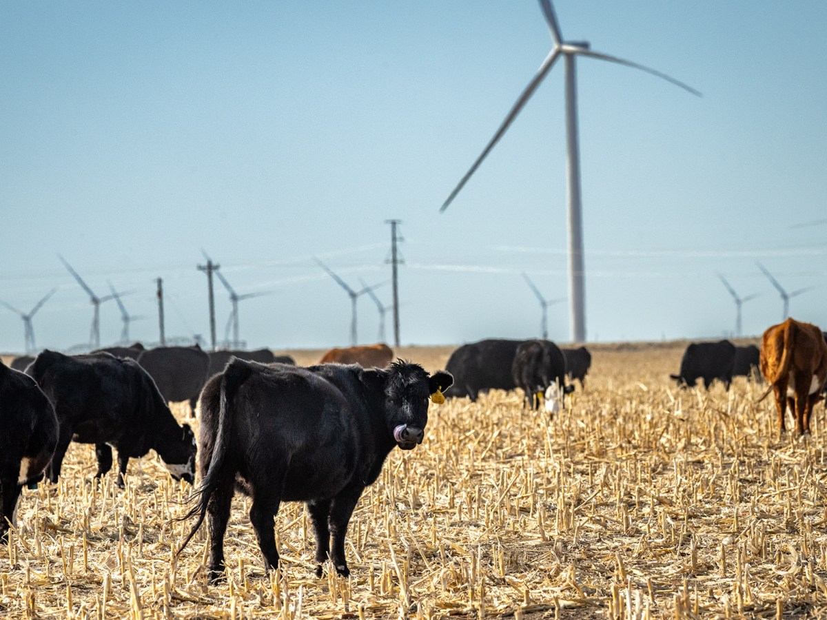 How tiny Kit Carson County has grown into a green energy giant