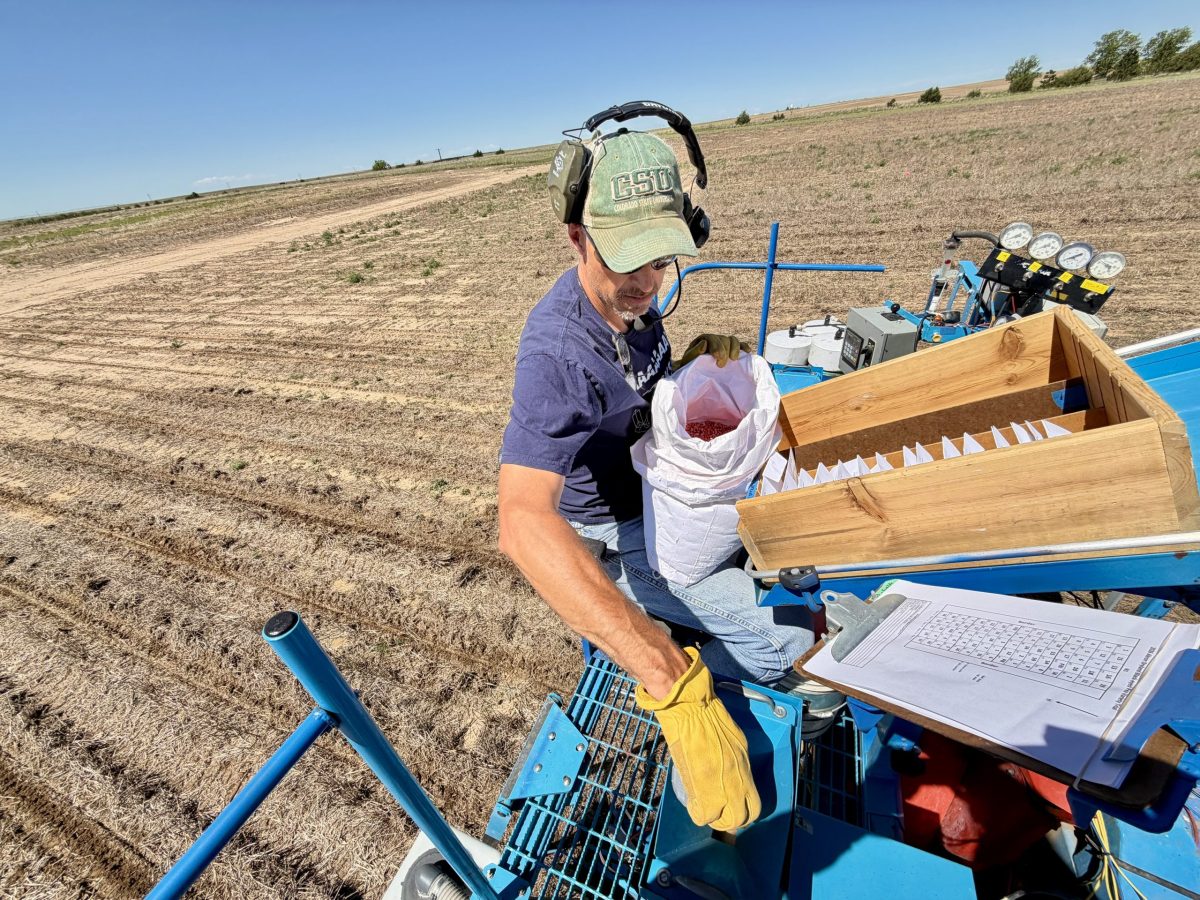 Are less-thirsty crops a solution to Colorado’s growing water problems?
