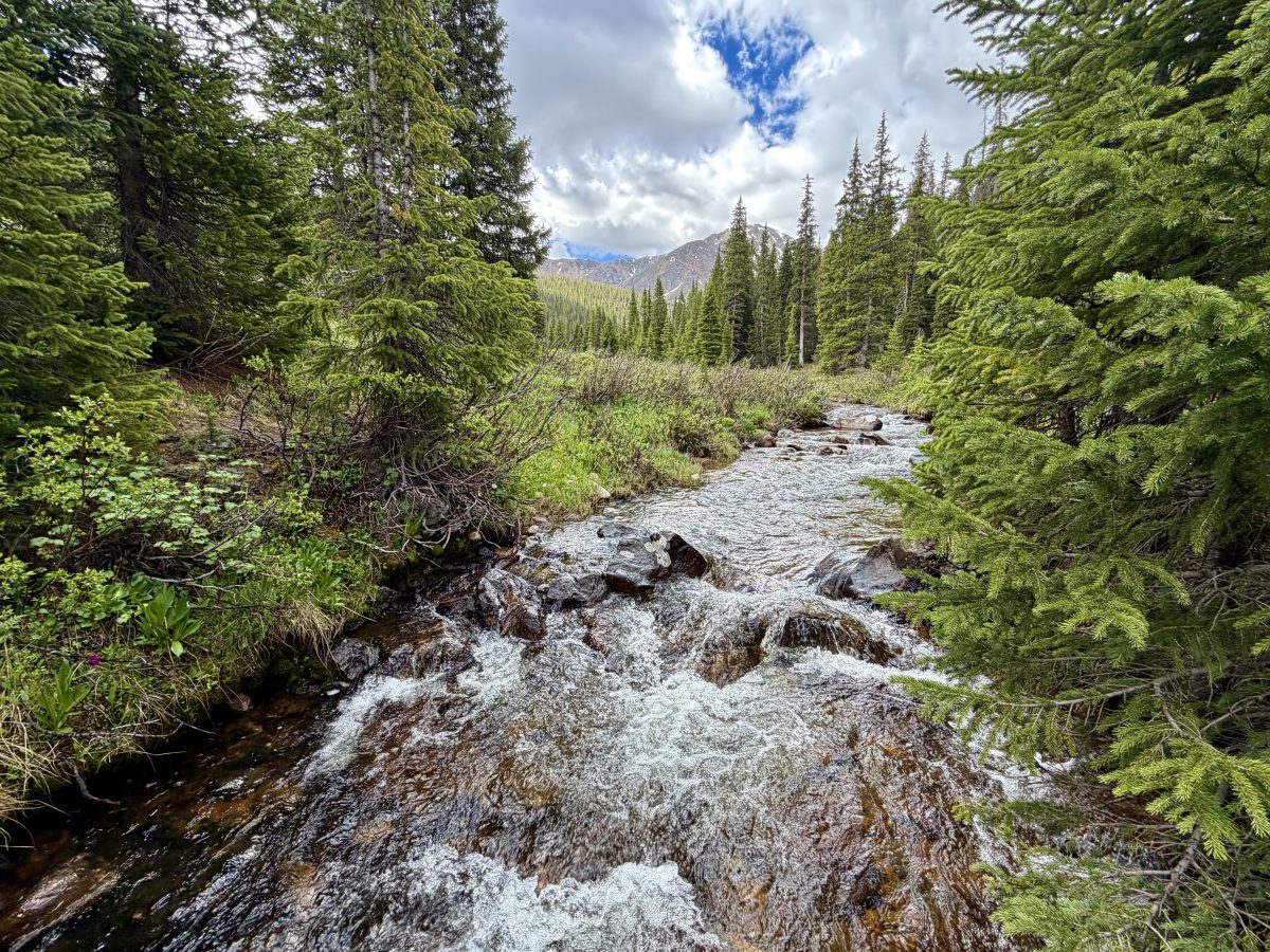 A clear stream flows over rocks through a forested area with evergreen trees, under a partly cloudy sky and distant mountains.