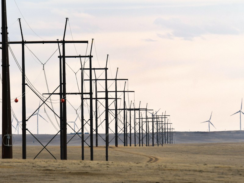 Rows of power poles appear to be shrinking into the horizon