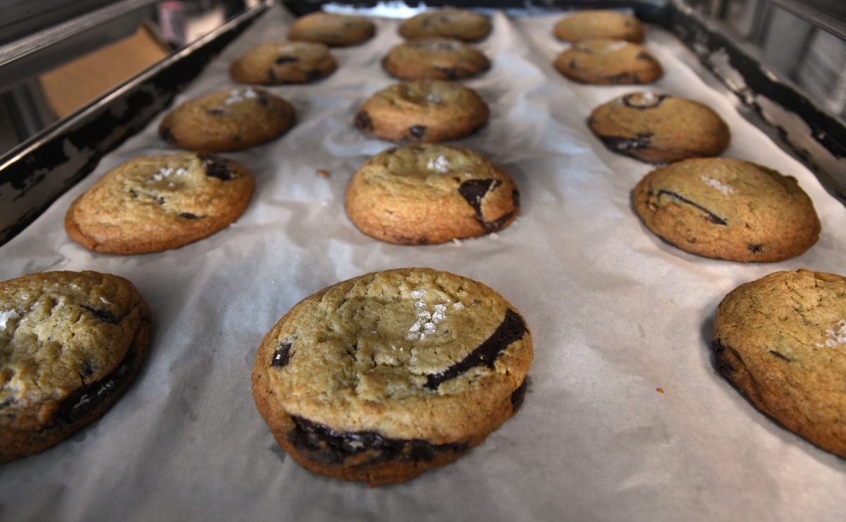 A tray of freshly baked chocolate chip cookies on parchment paper, arranged in rows and slightly golden brown.