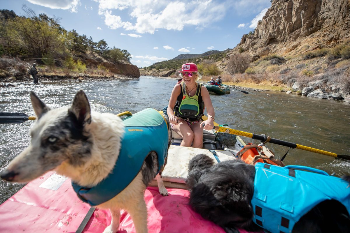 A tan colored dog at the front of a raft floating on the Arkansas River