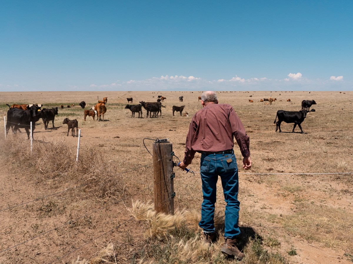 Ready for your next steak? These Colorado ranchers are battling drought to get it on your plate.