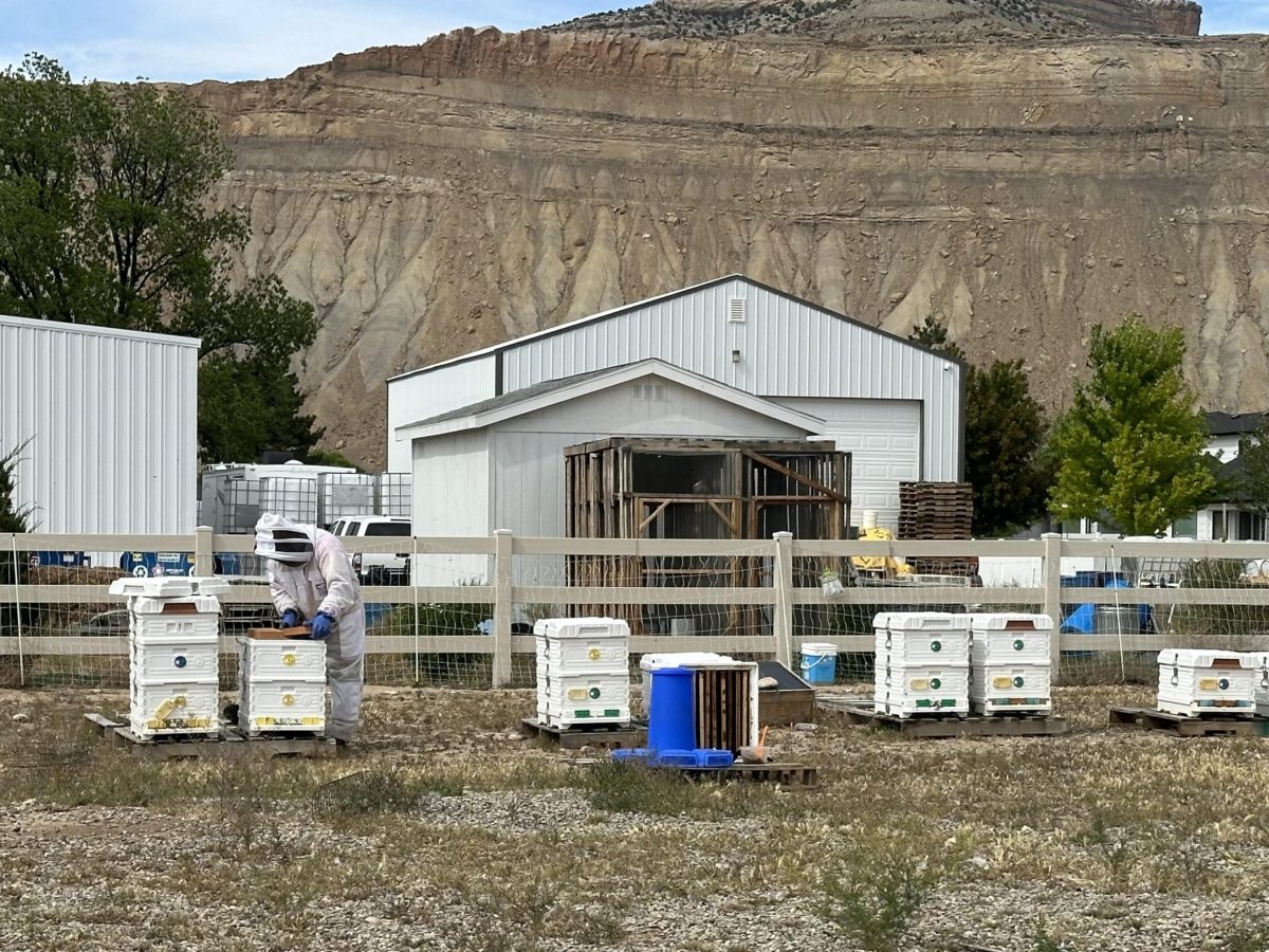 How Colorado veterans are harvesting benefits with Goodwill farming program