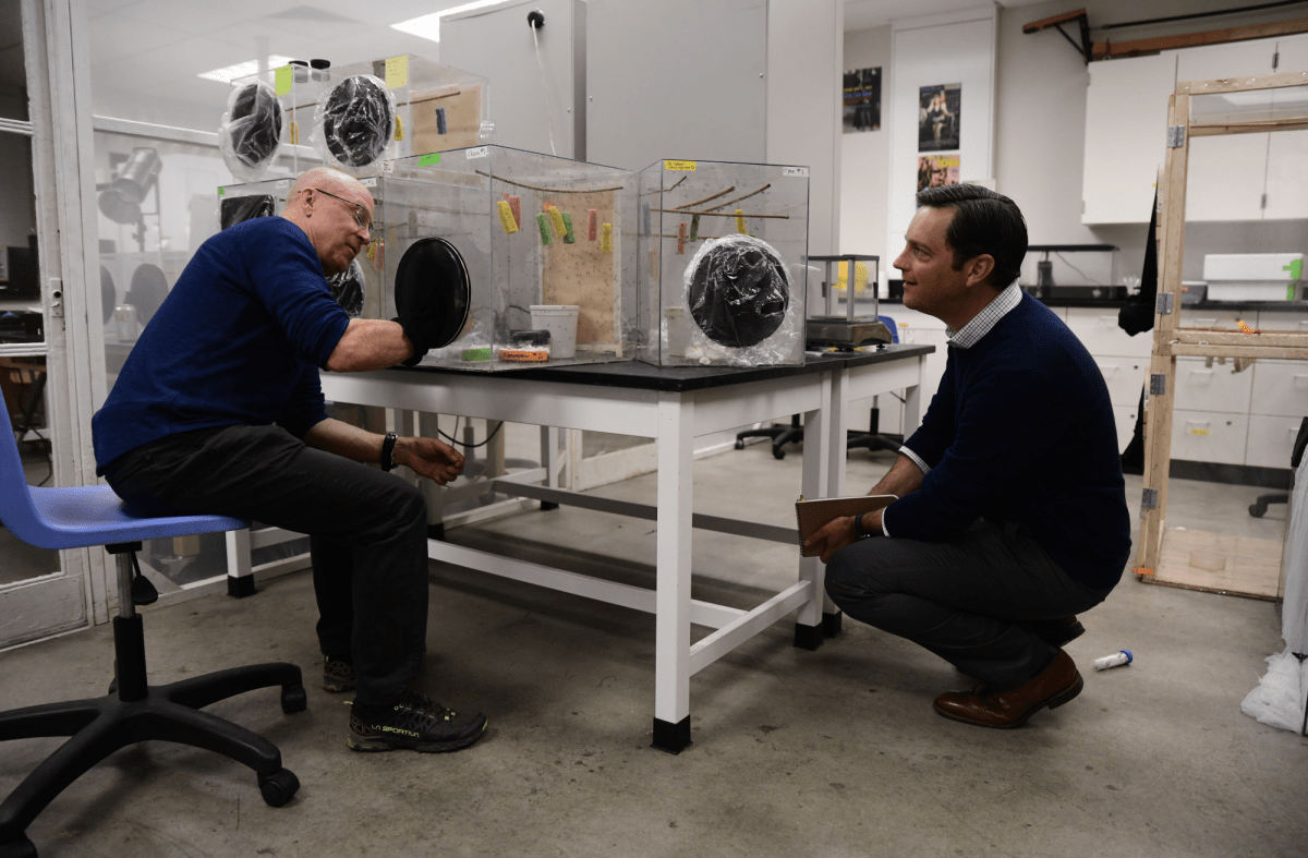 Two men in a lab observe and discuss experiments involving enclosed containers with gloves attached, seated and kneeling beside a laboratory table.
